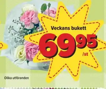 Östenssons Nature choise blommor erbjuda