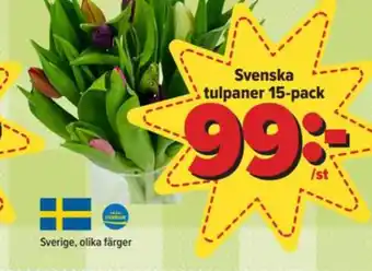 Östenssons Nature choise blommor erbjuda