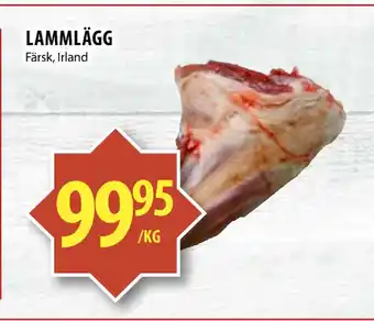 Matvärlden Tensta Lammlägg erbjuda