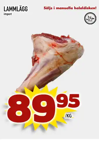 Lammlägg