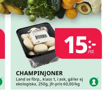 Tempo Champinjoner erbjuda