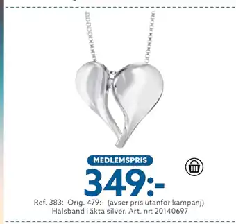 Albrekts Guld Halsband i äkta silver erbjuda