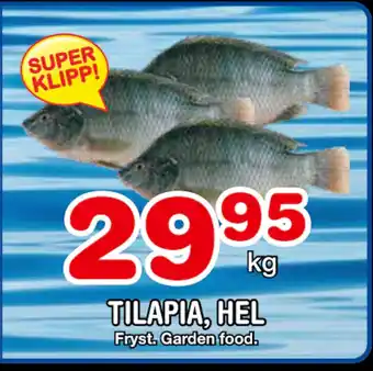 Nya Pulsen Tilapia, hel erbjuda
