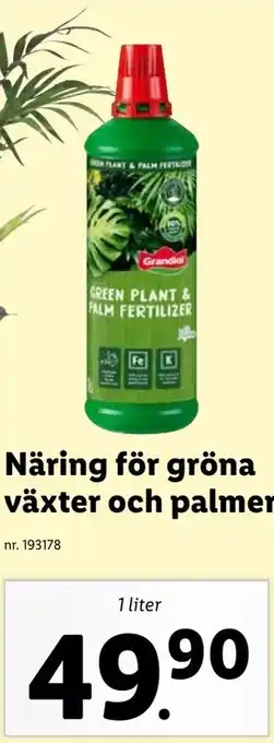 Lidl Näring för gröna växter och palmer erbjuda