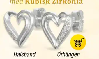 Guldfynd Örhängen erbjuda