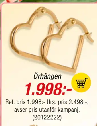 Guldfynd Örhängen erbjuda