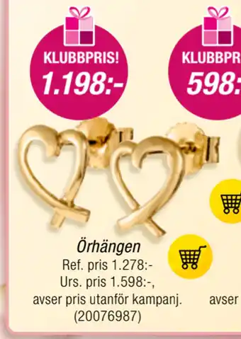 Guldfynd Örhängen erbjuda