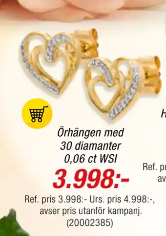 Guldfynd Örhängen med 30 diamanter 0,06 ct WSI erbjuda