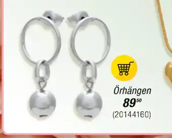 Guldfynd Örhängen erbjuda