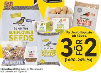 Rusta För fåglarna! Olika typer av fågelmatare och olika sorters fågelmat. erbjuda