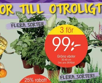 EKO Gröna växter erbjuda