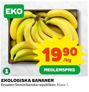 EKOLOGISKA BANANER