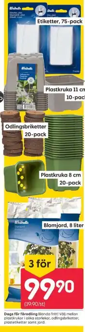 Rusta Weibull plantetikett erbjuda