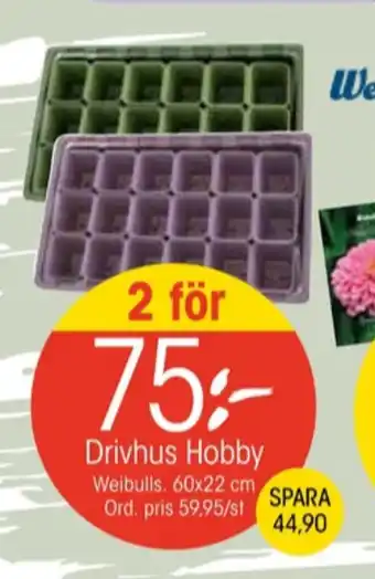EKO Weibull minidrivhus erbjuda