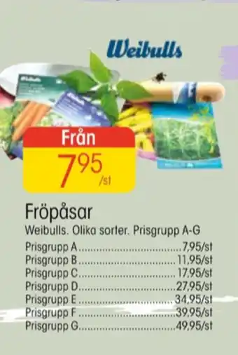 EKO Weibull fröpåsar erbjuda