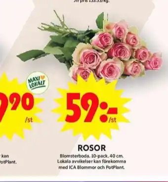ICA Maxi Blomsterboda blommor erbjuda
