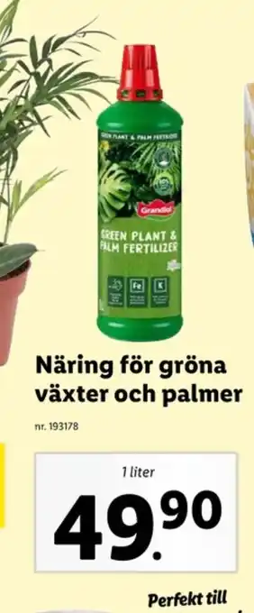 Grandiol växtnäring
