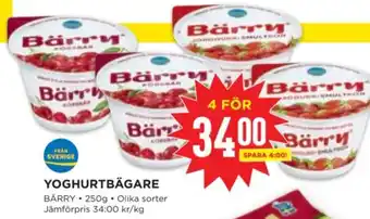 Willys YOGHURTBÄGARE erbjuda
