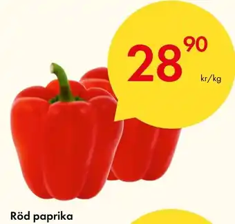 Snabbgross Röd paprika erbjuda