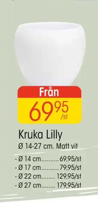EKO Kruka Lilly erbjuda