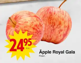 Matöppet Äpple Royal Gala erbjuda