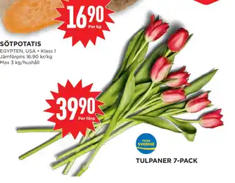 Willys Hemma TULPANER 7-PACK erbjuda