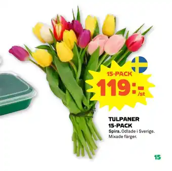 Stora Coop TULPANER 15-PACK erbjuda