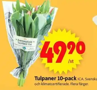 ICA Supermarket Tulpaner 10-pack erbjuda