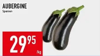 Ica aubergine