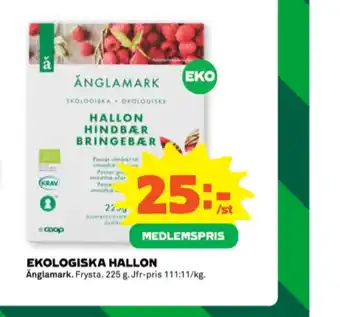 Stora Coop Änglamark bär erbjuda