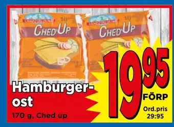 Supergrossen Hamburgerost erbjuda