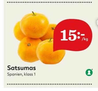 Satsumas