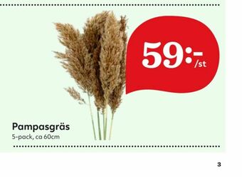 Hemköp Blommor erbjuda