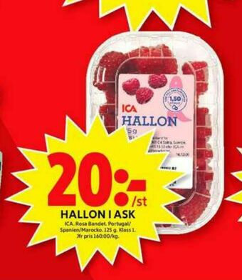 ICA Maxi ICA Hallon erbjuda