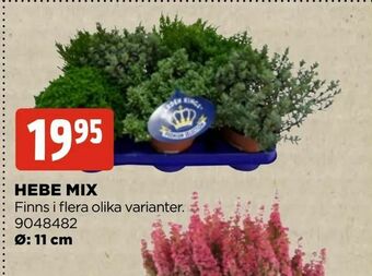 Jem&Fix Hebe mix erbjuda