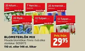 Jem&Fix Blomsterlök mix erbjuda