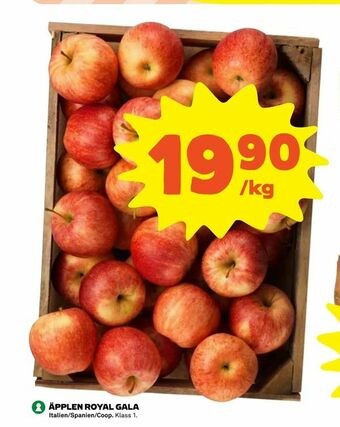 Coop Extra Äpplen royal gala erbjuda