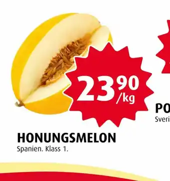 Honungsmelon