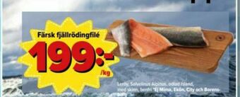 Östenssons Leröy Fjällrödingfilé erbjuda