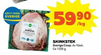 Skinkstek