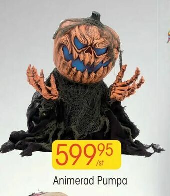 EKO Animerad Pumpa erbjuda