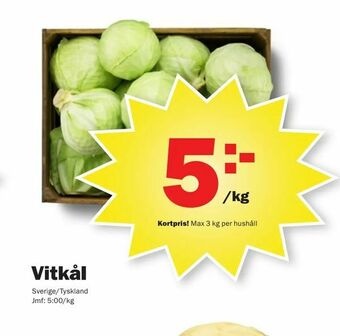 Vitkål