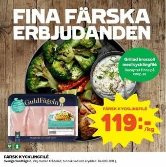Färsk kycklingfilé
