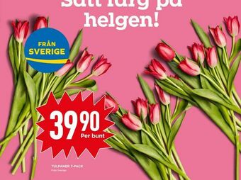 Willys Tulpaner 7-pack erbjuda