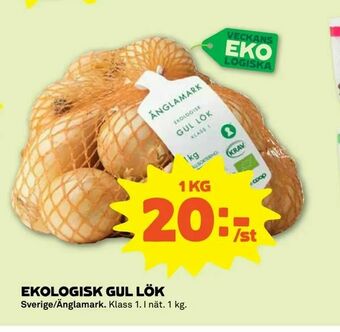 Stora Coop Ekologisk gul lök erbjuda