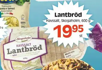 Lantbröd