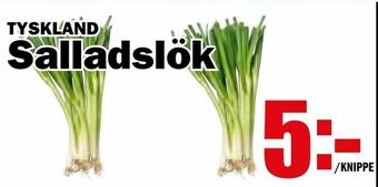 Matdax Salladslök erbjuda