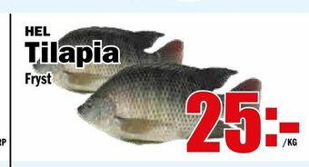 Matdax Tilapia erbjuda