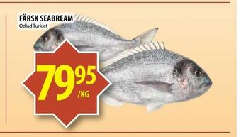 Matvärlden Tensta Färsk seabream erbjuda