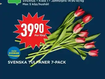 Willys Hemma Svenska tulpaner 7-pack erbjuda